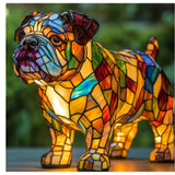 Bulldog Trots Lampa